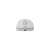 Muis White Shark GM-5014 Graphene wit USB