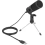 Delock - microfoon - USB - zwart (66832)