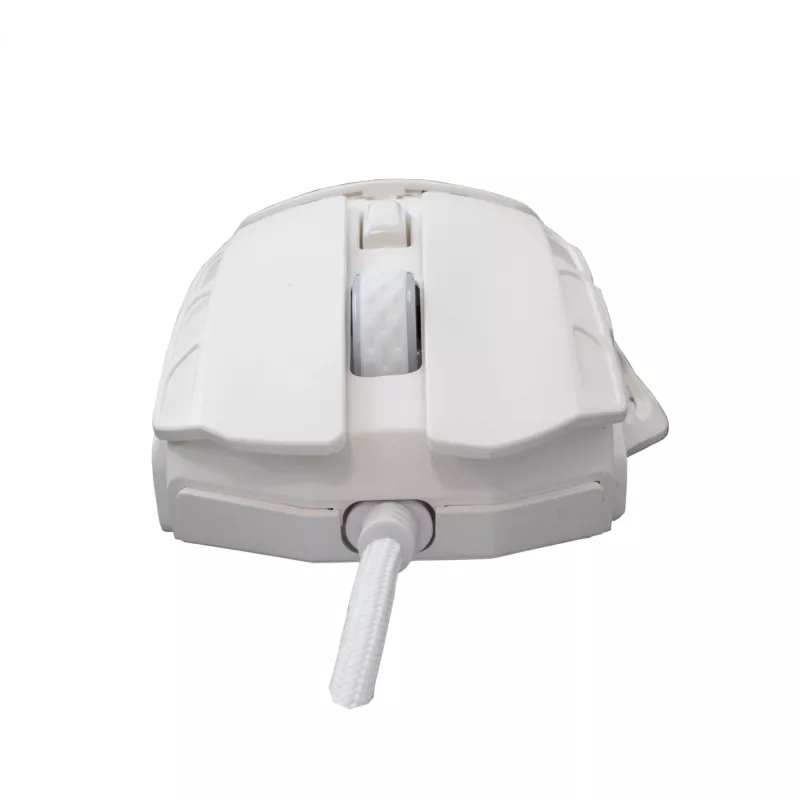 Muis White Shark GM-5016 Ector White USB