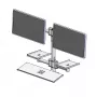 Wandmontagestang met twee montagearmen van ergonomic solutions, model EET063-02