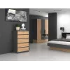 Topeshop M5 ANTRACYT/ARTISAN ladekast, antraciet/Artisan
