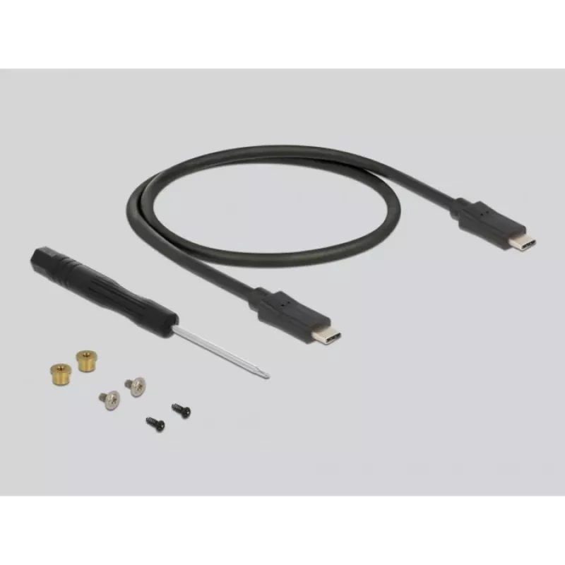SSD-behuizing DeLOCK 42003 externe behuizing voor M.2 SATA SSD met USB Type-C