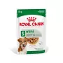 Nassfutter Royal Canin Mini Ageing 12+ Adult 85 g zak — kleine rassen, gevogelte, senior