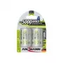 Batterij Ansmann blister 2 x accu NiMH Mono/D 5000 mAh