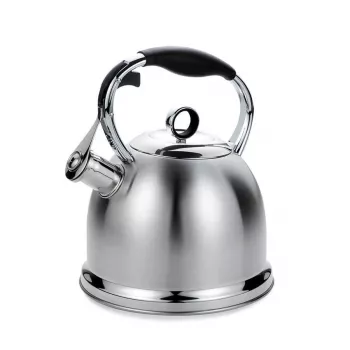 Maestro MR-1334 waterkoker 2,9 L RVS