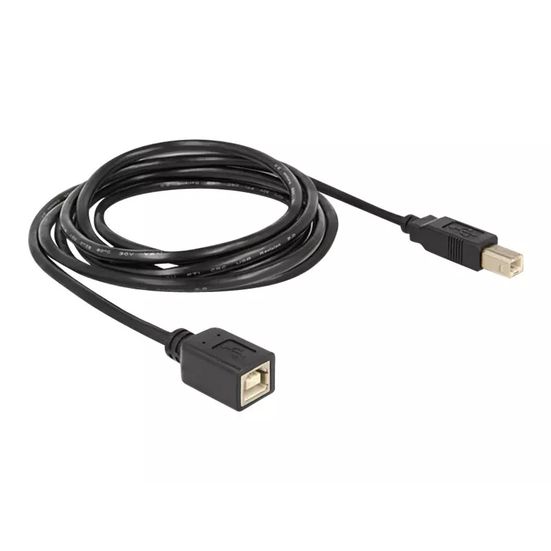 USB-kabel DeLOCK USB2.0-B 2 m USB B zwart