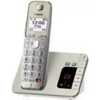 DECT-telefoon Panasonic KX-TGE260GN