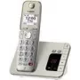 DECT-telefoon Panasonic KX-TGE260GN