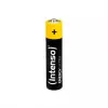 Intenso Batteries Energy Ultra AAA LR03 10-pack krimpfolie