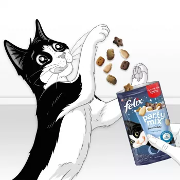 Kattensnack Felix Party Mix Dairy Delight 60 g — knapperige snacks met melksmaak voor volwassen katten, eiwit 35%, vet 19,5%