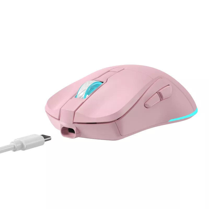 Muis Baracuda BGM-124 Turtle roze TURTLE-P