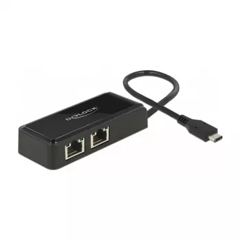 DeLOCK 63927 USB-C naar 2x Gigabit LAN-adapter, zwart