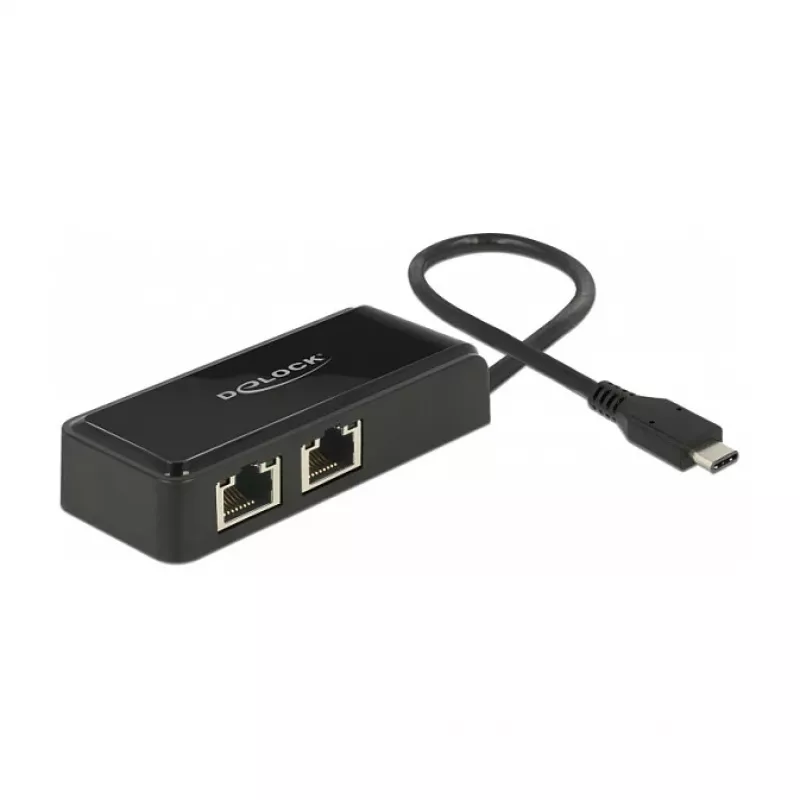 DeLOCK 63927 USB-C naar 2x Gigabit LAN-adapter, zwart