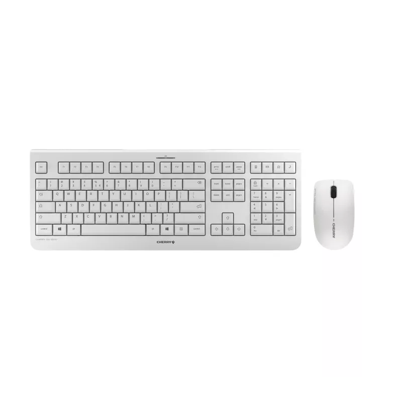CHERRY DW 3000 toetsenbord muis inbegrepen universeel RF draadloos QWERTZ Duits grijs