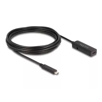 USB-kabel DeLOCK 80028 5 m USB-C zwart