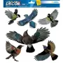 Decoratieve sticker HERMA 15539 folie veelkleurig afneembaar vogel