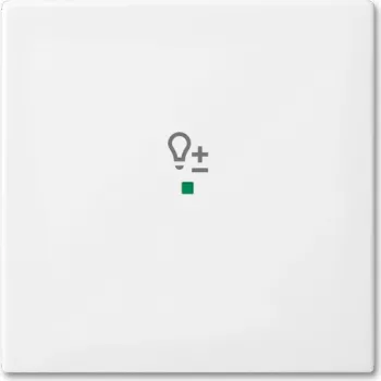 Busch-Jaeger 2CKA006220A0359 afdekplaat voor sensorhouder en -bus wit (2CKA006220A0359)
