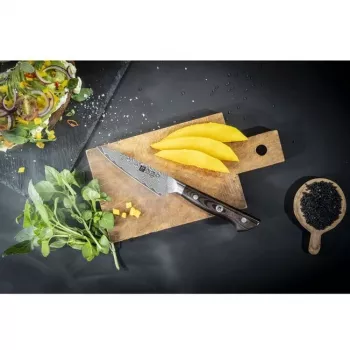 Zwilling TANREI 10 cm lardeer- en garniermes