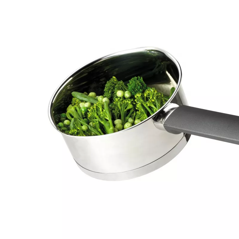 Russell Hobbs RH01164EU7 Excellence steelpan 20 cm