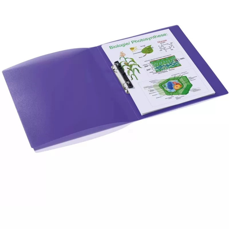 Ringband HERMA 19183 A4 Violet