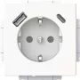 Busch-Jaeger SCHUKO stopcontact USB-A+C 20 EUCB2USBAC-884 (2CKA002011A6310)