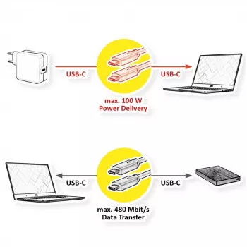 USB-kabel VALUE 11.99.8310 3 m USB C zwart USB 2.0