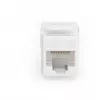 Digitus CAT 6 Class E keystone-module, onafgeschermd