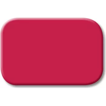 BJ - Reflex SI - tastersymbool *rood* (2525-12)