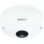 IP-beveiligingscamera Hanwha QNF-8010 dome 2048 x 2048 pixels