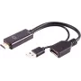 HDMI A bus naar DisplayPort stekker adapter ShiverPeaks BS10-01012 4K 60Hz 20cm