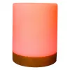 Sfeerverlichting RealPower 200 RGB met afstandsbediening