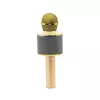 Microfoon MANTA MIC10-G goud nier draagbaar — condensator nier, handontwerp