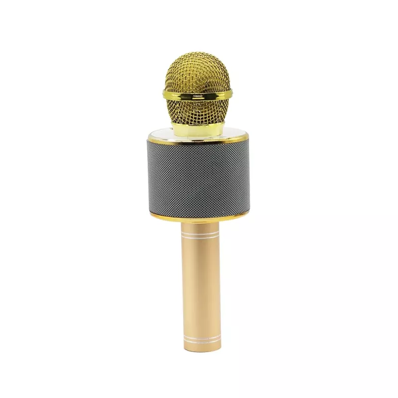 Microfoon MANTA MIC10-G goud nier draagbaar — condensator nier, handontwerp