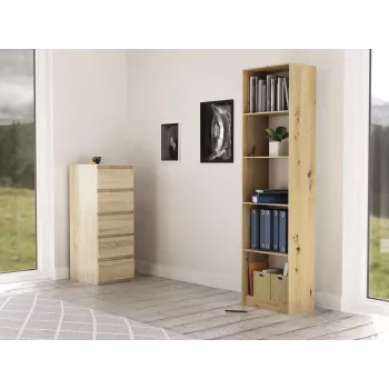Boekenkast Top e shop R50 ARTISAN — eikenfinish, 5 legplanken, spaanplaat frame