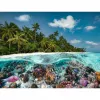 Puzzel A Dive in the Maldives (2000 stukjes)