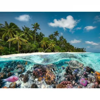 Puzzel A Dive in the Maldives (2000 stukjes)