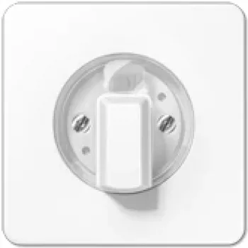 JUNG CD 1541 WW - wit - 1101-4 - 1101-20 - 11015 - 11120-20 - 1234,10 - 1234,20 - IP44