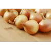 Wolska Onion Toraf groentezaden, 5g pakket