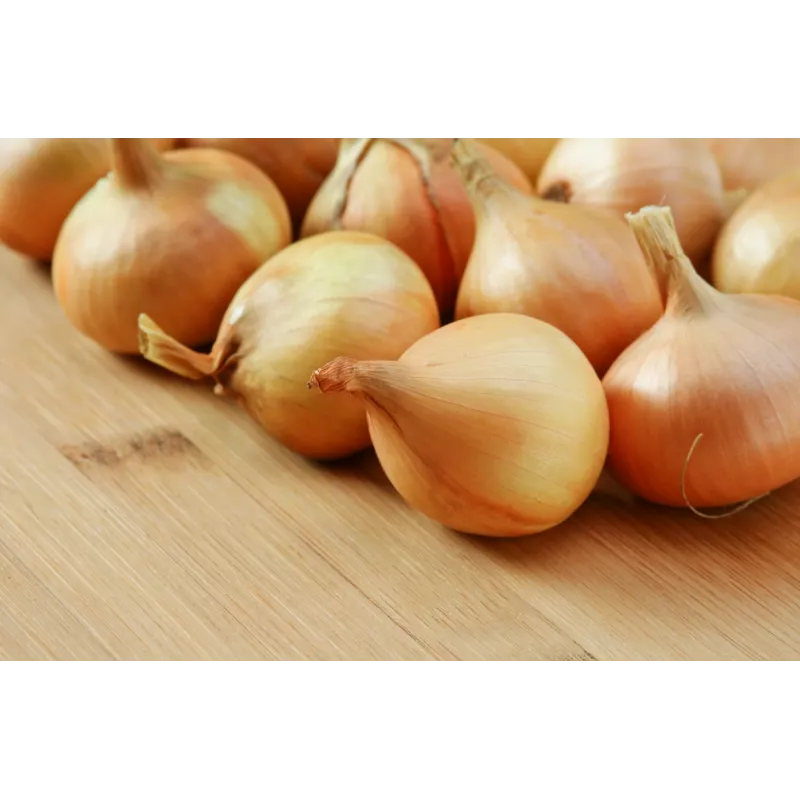 Wolska Onion Toraf groentezaden, 5g pakket
