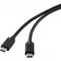Renkforce RF-4531576 USB-kabel 2 m USB 3.2 Gen 2 (3.1 Gen 2) USB-C zwart (RF-4531576)