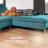 Vileda Always Clean PET PRO borstel