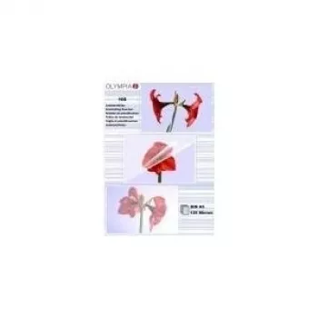 Lamineerfolie Olympia 1x100 DIN A5 125 micron