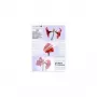 Lamineerfolie Olympia 1x100 DIN A5 125 micron