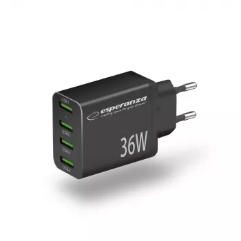 Esperanza EZC107K netlader 36W zwart