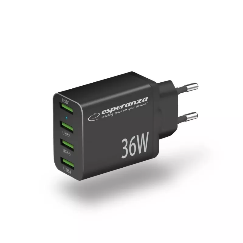 Esperanza EZC107K netlader 36W zwart