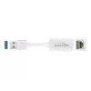 DeLOCK 65905 USB Type-A naar Gigabit LAN-netwerkadapter, wit