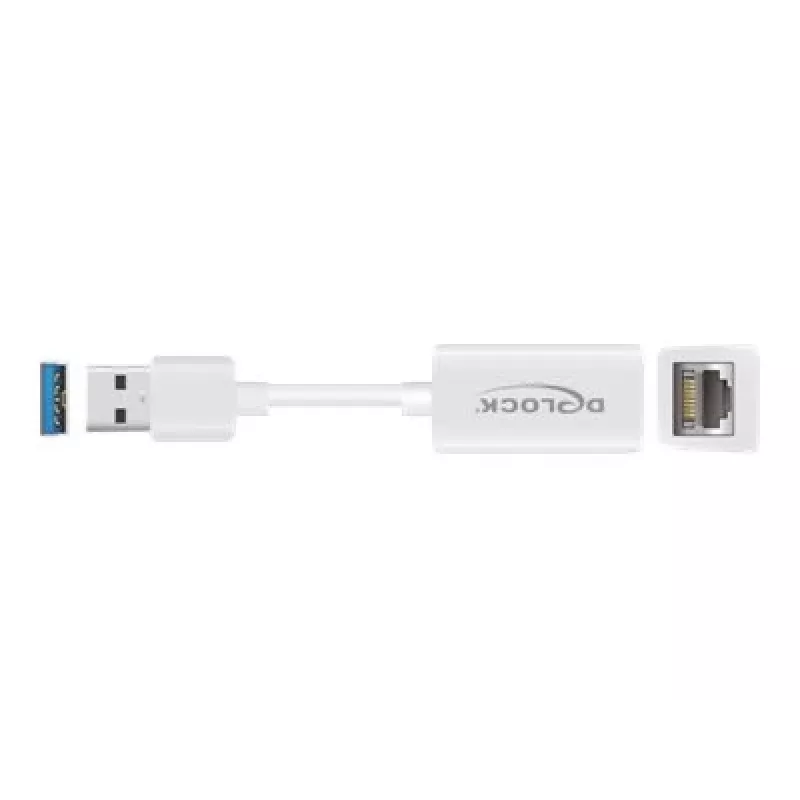 DeLOCK 65905 USB Type-A naar Gigabit LAN-netwerkadapter, wit
