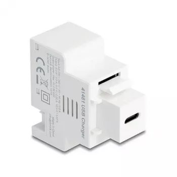 DELOCK keystone-module met USB-C PD 20W laadbus, wit