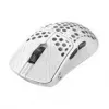 Gaming-muis Endgame Gear TENKO AKITSU MEDIUM — 40 g, PixArt 3950 sensor, 8K polling, wit