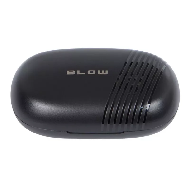 Earbuds BTE800 zwart